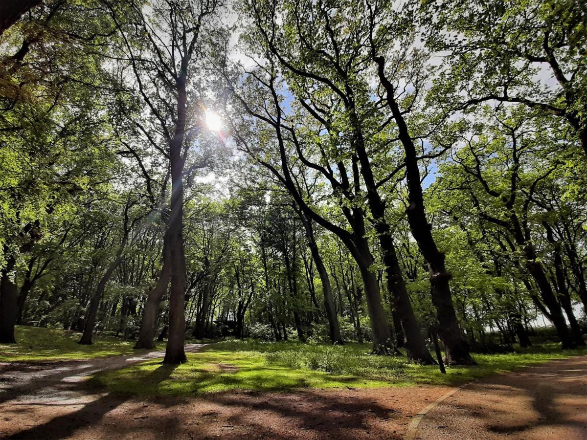 Domki Ajna Park W Uzdrowisku Kołobrzeg Exterior foto